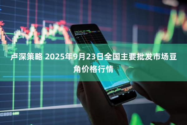 卢深策略 2025年9月23日全国主要批发市场豆角价格行情