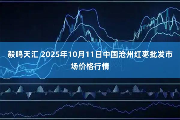 毅鸣天汇 2025年10月11日中国沧州红枣批发市场价格行情