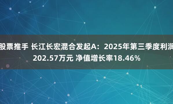 股票推手 长江长宏混合发起A：2025年第三季度利润202.57万元 净值增长率18.46%