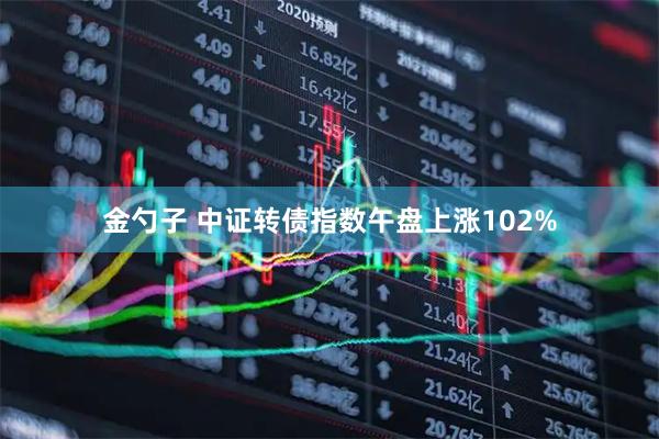 金勺子 中证转债指数午盘上涨102%