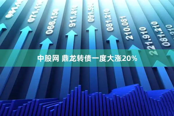 中股网 鼎龙转债一度大涨20%