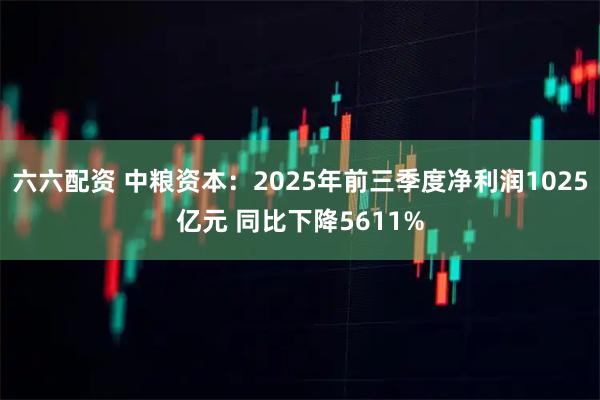 六六配资 中粮资本：2025年前三季度净利润1025亿元 同比下降5611%
